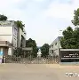 沉寂久远，麦克雷迪谈未来发展之路，气势如虹